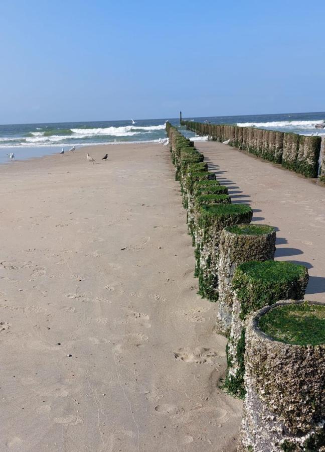De Notenbalk Aan Zee Bed & Breakfast Vlissingen Exterior photo