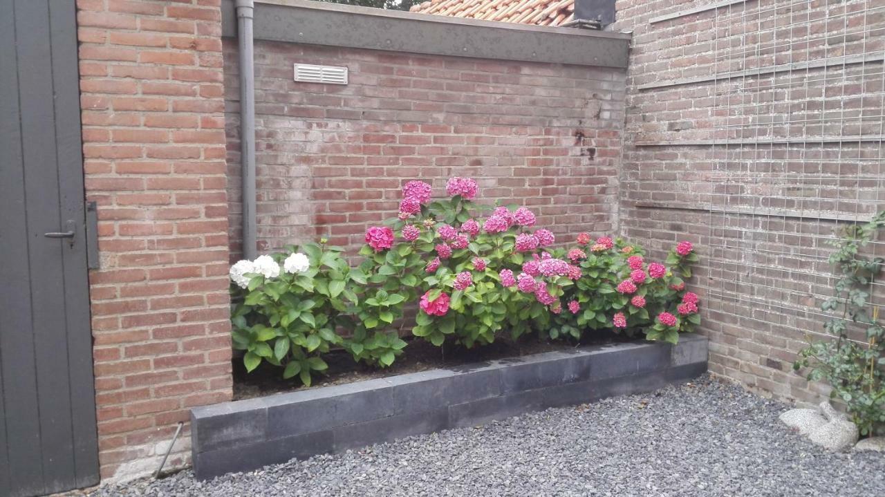 De Notenbalk Aan Zee Bed & Breakfast Vlissingen Exterior photo